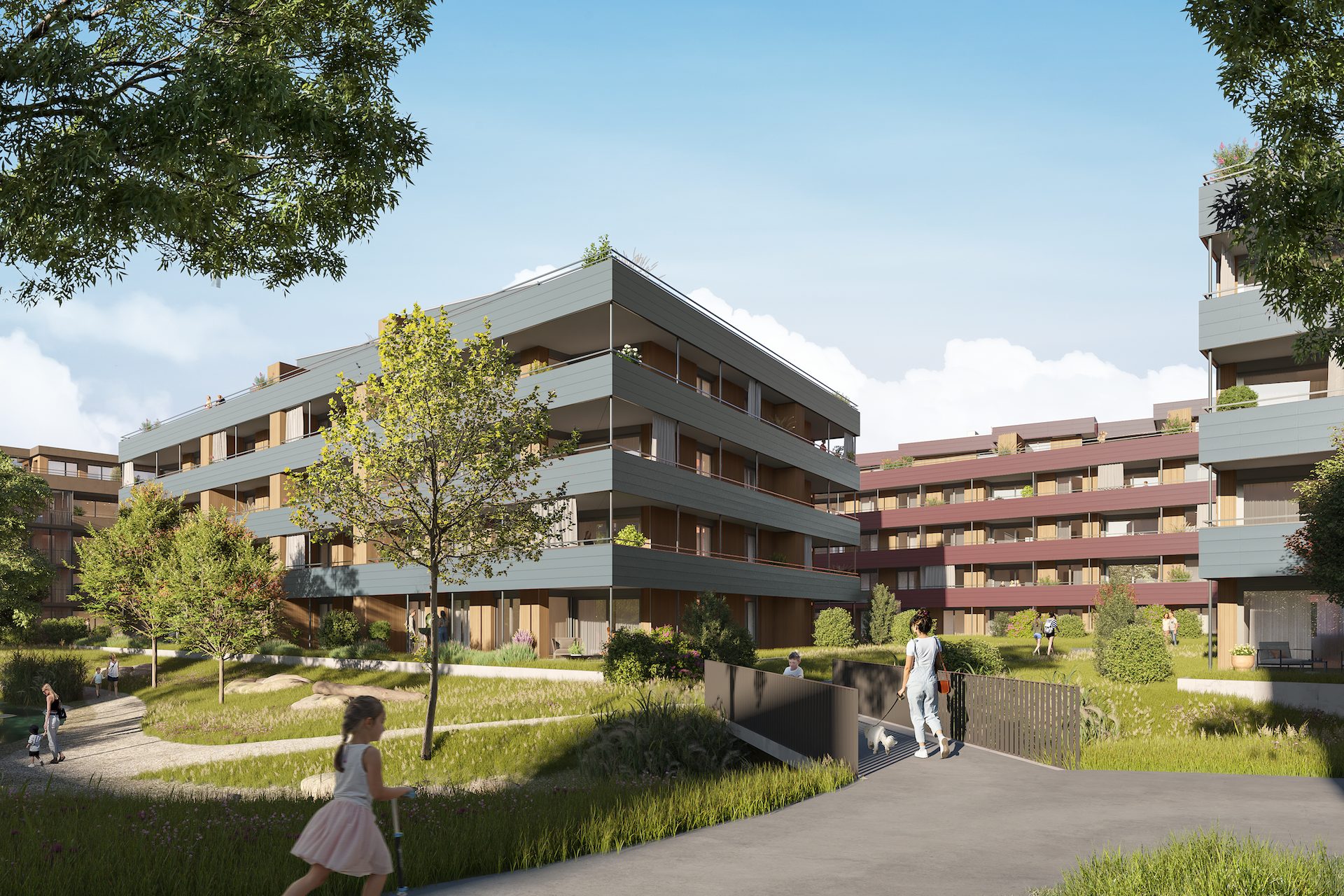 CAS AP 02 final psh grau und rot